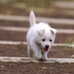 南宫导航在海洋探索中的应用与意义 2buza7