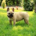 南宫平台的市场分析工具使用指南 3l4hfg4