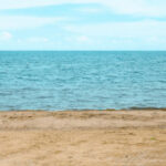 南宫平台的合作伙伴与生态系统 ed4n3rgag5