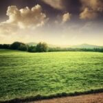 南宫平台的国际化发展与战略布局 r166oe